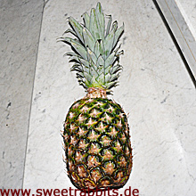 Ananas