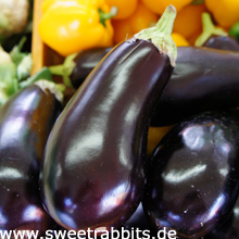 Aubergine