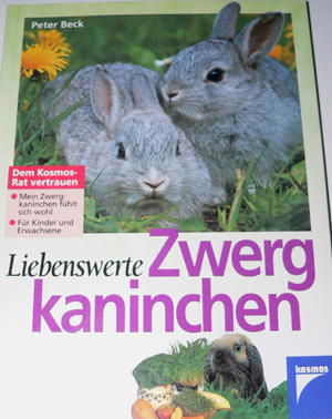 Liebenswerte Zwergkaninchen