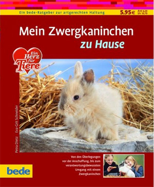 Mein Zwergkaninchen zu Hause