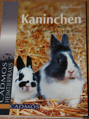 Kaninchen artgerecht halten, pflegen und verstehen