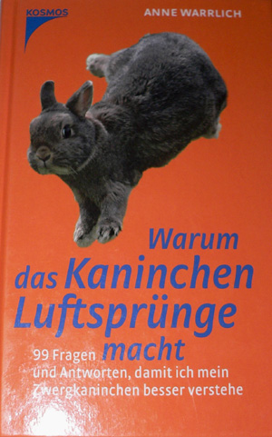 Warum das Kaninchen Luftsprnge macht