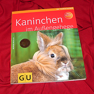 Kaninchen im Aussengehege