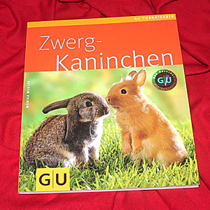 Zwergkaninchen