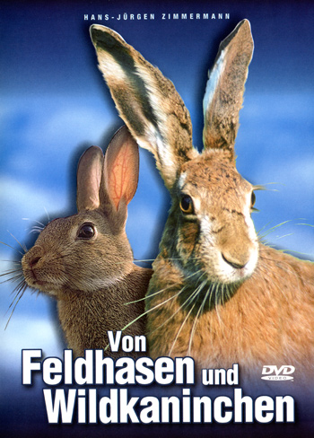 Von Feldhasen und Wildkaninchen