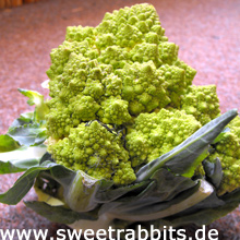 Romanesco